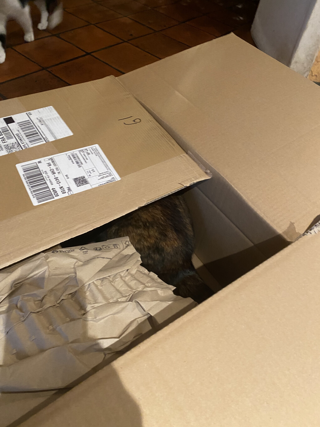 6336450.jpeg 6336450.jpeg