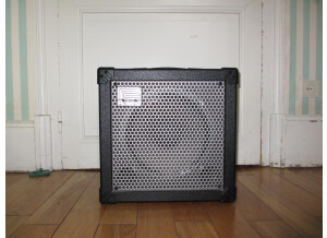 Roland Cube-30 (71382)