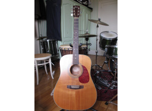 Cort Earth 70 - Natural Satin