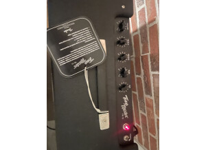 Fender Tone Master FR-12 (22146)