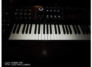 Korg Prologue-8 OSC (48787)