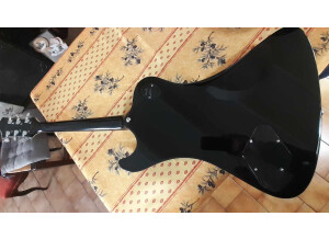 472248765 1169426434643322 4303126600441988459 n