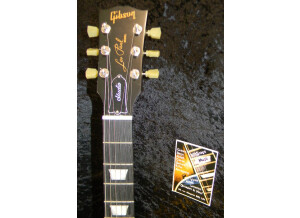 Gibson Les Paul Studio Faded 2011 - Ebony Stain (21201)
