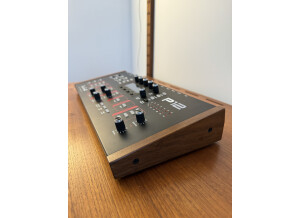 Dave Smith Instruments Prophet 12 Module (11100)