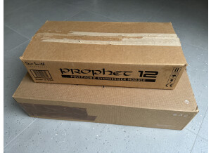 Dave Smith Instruments Prophet 12 Module (80256)