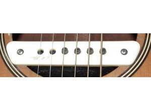 L.R. Baggs M1 (18676)