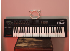 Roland A-500PRO-R (20958)