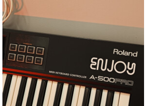 Roland A-500PRO-R (28789)