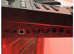 Roland A-500PRO-R (21398)