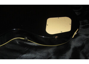 Epiphone Les Paul Standard (44337)