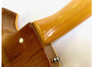 Gibson Les Paul Deluxe Goldtop (1971) (52988)