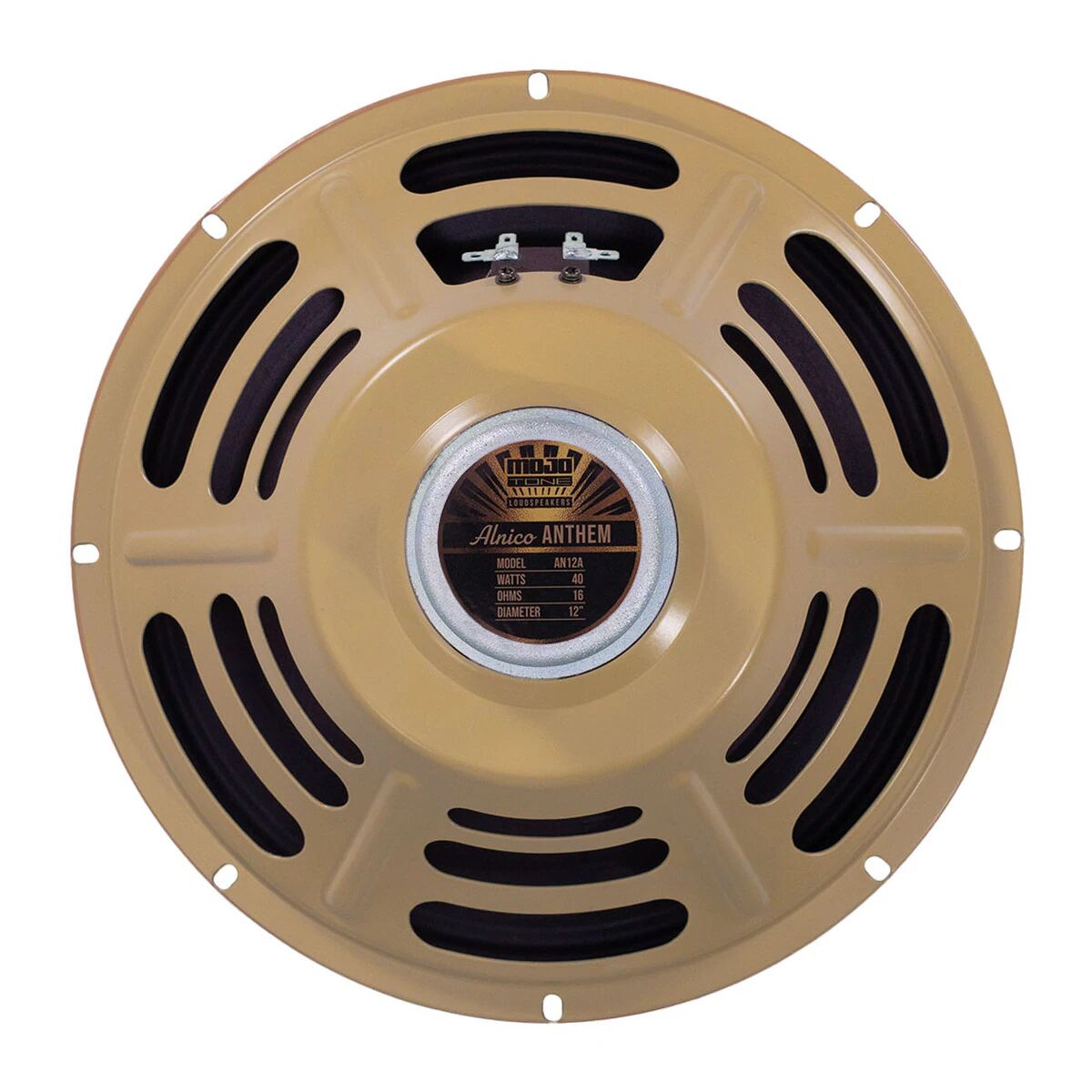 Alnico Anthem 12 40W