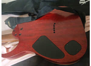 Ibanez RG421HPAM (80121)