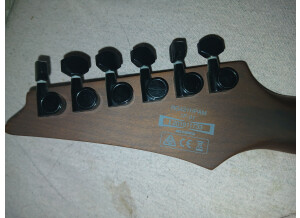 Ibanez RG421HPAM (74237)