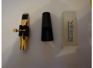 Brancher B29 (31081)