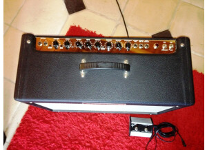 Fender Hot Rod Deluxe (744)