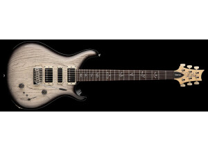 Swamp Ash Special6