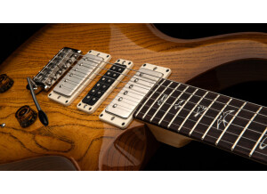 Swamp Ash SpecialDetail