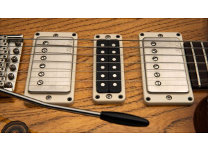Swamp Ash SpecialPUs