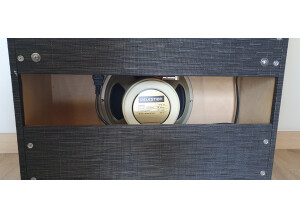 Morgan Amplification SW22RC (63257)