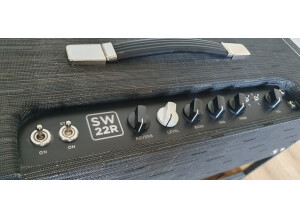 Morgan Amplification SW22RC (64688)
