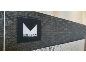 Morgan Amplification SW22RC (56407)