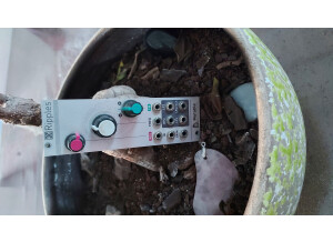 Mutable Instruments Ripples (59250)