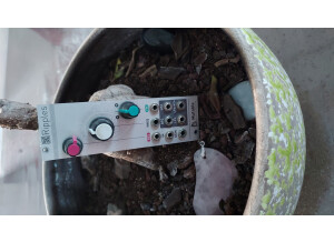 Mutable Instruments Ripples (56034)