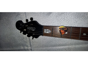 Music Man Majesty 6 (2022) (2412)