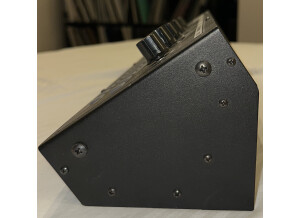 Moog Music SlimPhatty (55567)