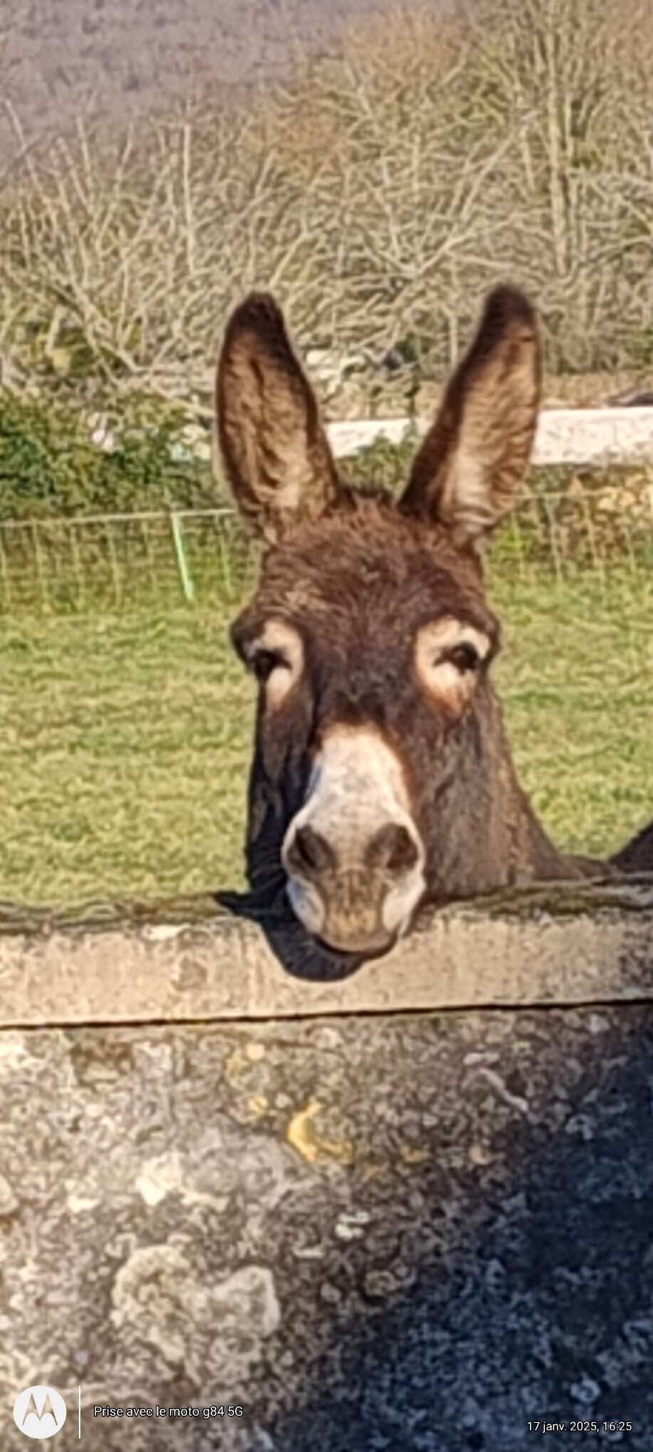 6353114.jpg 6353114.jpg