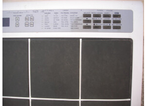 Roland SPD-20 (80866)