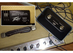 Peavey Classic 50/212 (Discontinued) (60753)