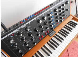 Moog Music Minimoog Voyager Old School (16512)