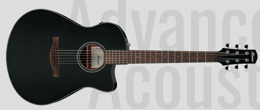 Ibanez AAM340CE : AAM340CE