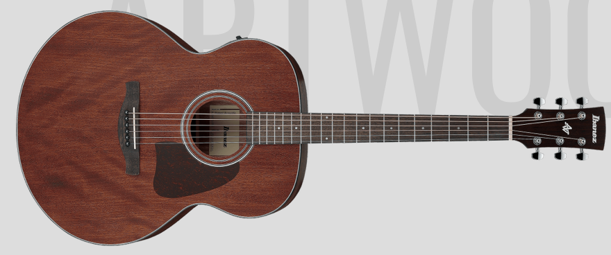 Ibanez AJ54E : AJ54E