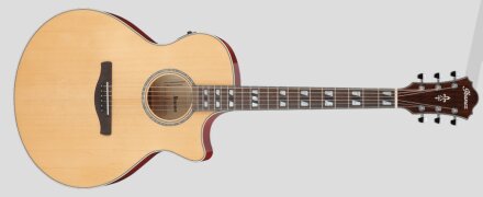 Ibanez AE170 : AE170 Ibanez AE170 : AE170