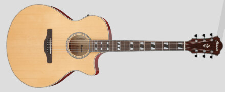 Ibanez AE170 : AE170 Ibanez AE170 : AE170