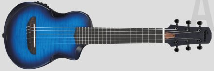 Ibanez AUP10FMNE : AUP10FMNE Ibanez AUP10FMNE : AUP10FMNE