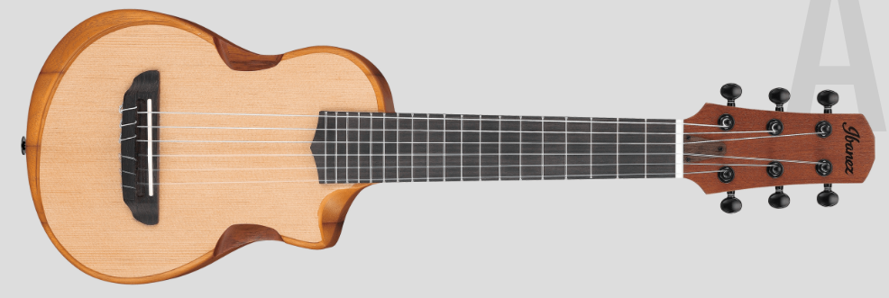 Ibanez AUP10N : AUP10N