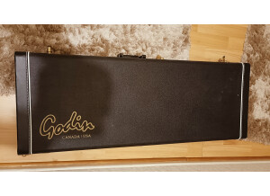 Godin Solidac (45247)