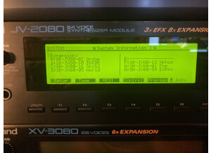 Roland JV-2080 (48137)