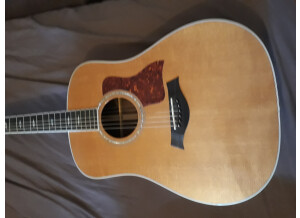 Taylor 810 (38557)