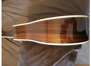 Taylor 810 (73240)