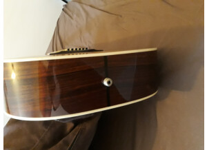 Taylor 810 (96140)