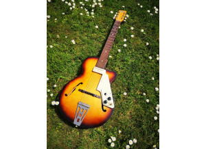 egmond-lucky-7-4591803