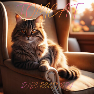 6354781.png 6354781.png