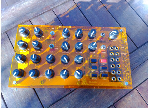 Mutable Instruments Anushri (34010)