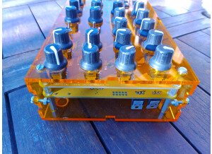 Mutable Instruments Anushri (69254)