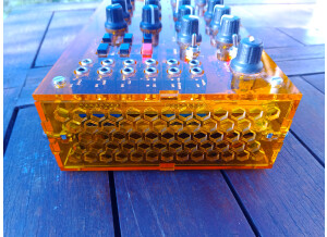 Mutable Instruments Anushri (73032)